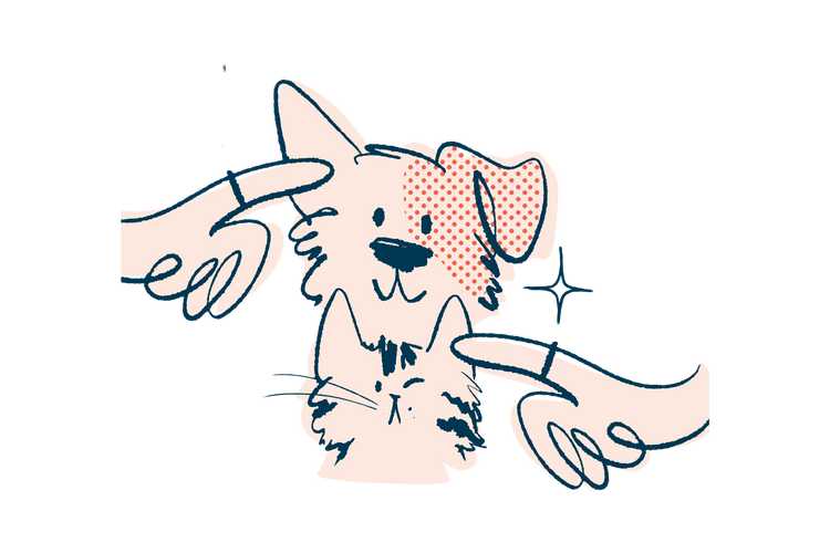 For Dog & Cats