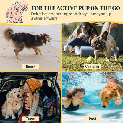 Clean and Floofy-Dog Waterless Foam Shampoo