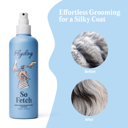 So Fetch-Leave-In Detangle Conditioner Spray with Tailored Comb