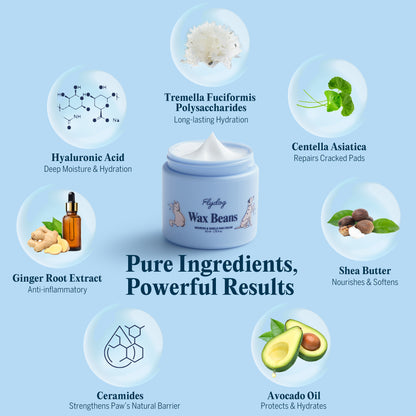 Wax Beans-Pet Paw & Nose Balm Cream