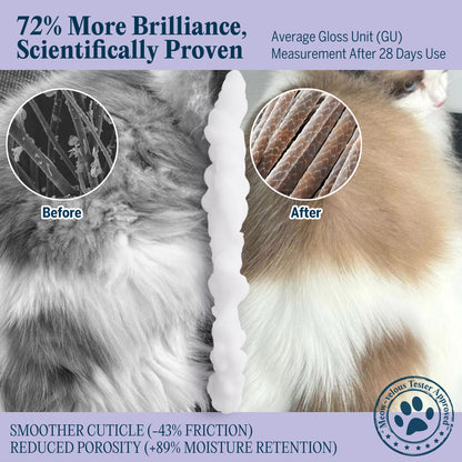 Pretty Kitty-Waterless Cat Dry Shampoo with Grooming Glove