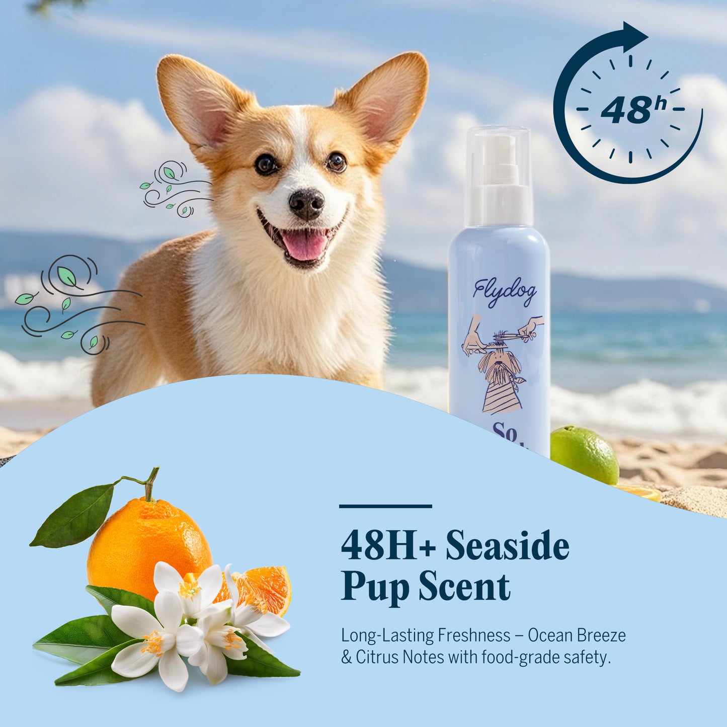 So Fetch-Leave-In Detangle Conditioner Spray with Tailored Comb