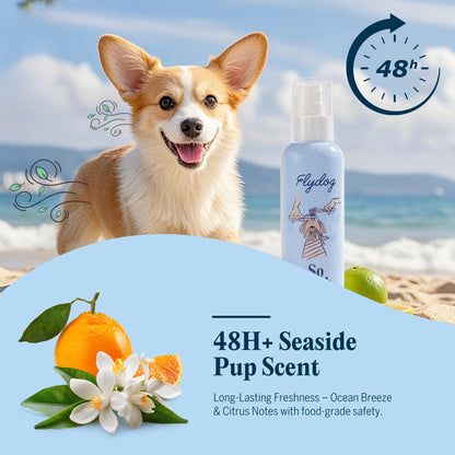 So Fetch-Leave-In Detangle Conditioner Spray with Tailored Comb