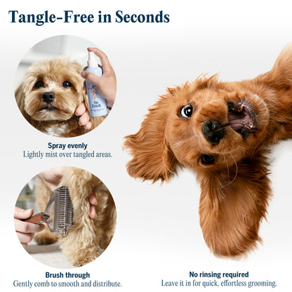 So Fetch-Leave-In Detangle Conditioner Spray with Tailored Comb