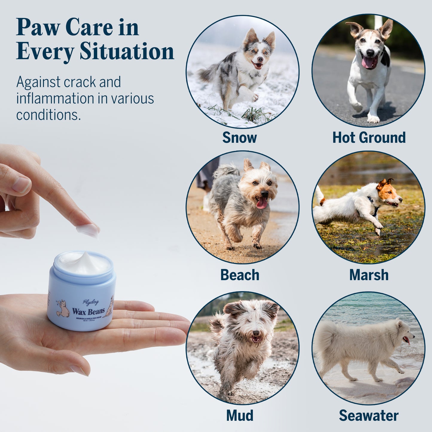 Wax Beans-Pet Paw & Nose Balm Cream